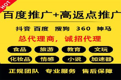 百度SEO推广策略：如何快速提升网站排名？——案例详解